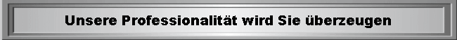  Unsere Professionalitt wird Sie berzeugen 